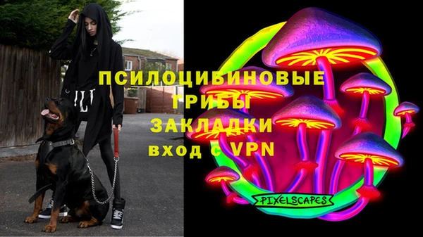 герыч Лагань
