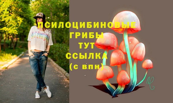 МДПВ Лабытнанги
