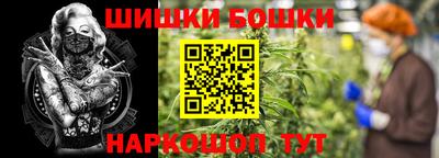 крисы Гагарин