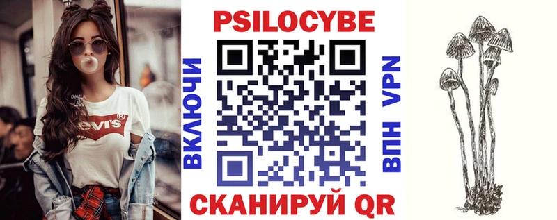 как найти закладки  Междуреченск  Галлюциногенные грибы Psilocybe 