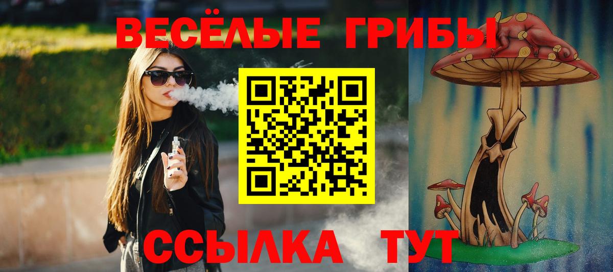 Псилоцибиновые грибы Psilocybe  Междуреченск 