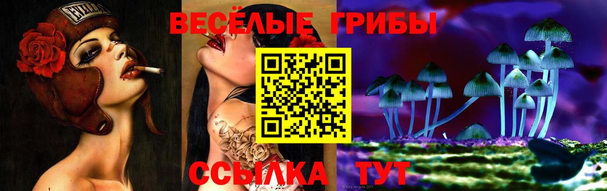 Междуреченск  Галлюциногенные грибы Psilocybe  Вход с VPN 