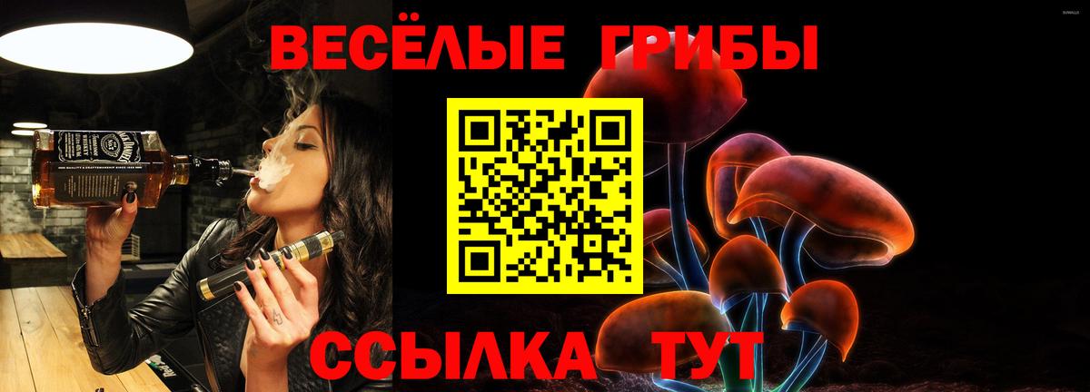 Псилоцибиновые грибы мухоморы Междуреченск